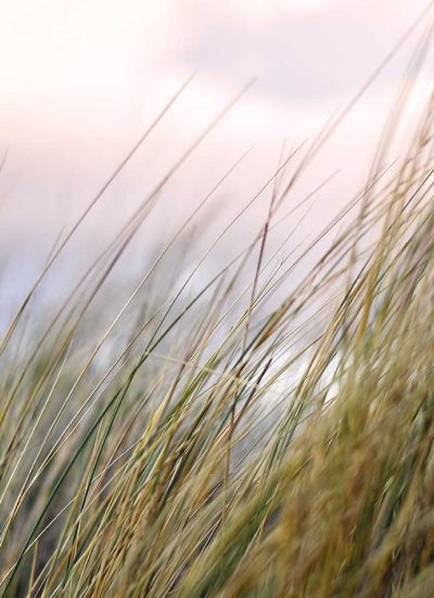 BoxBreath_duinen_web